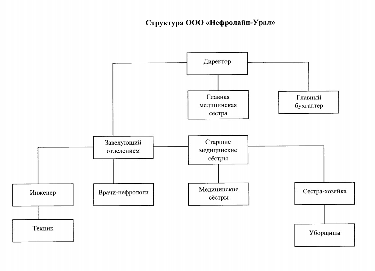 Структура организации